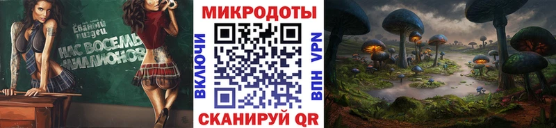 Псилоцибиновые грибы мицелий  Гаврилов-Ям 