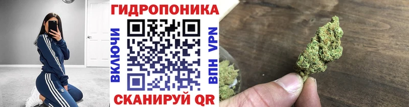 Марихуана семена  Гаврилов-Ям 